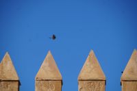 DSC02264 &ndash; &copy; Andreas Böcker (Eberhardt TRAVEL)
