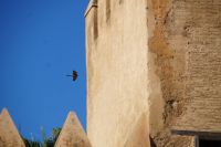 DSC02269 &ndash; &copy; Andreas Böcker (Eberhardt TRAVEL)