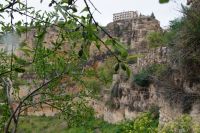Mandeln vor Ronda &ndash; &copy; Andreas Böcker (Eberhardt TRAVEL)
