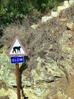 unbekanntes Verkehrszeichen? &ndash; &copy; Birgit Kirchner (Eberhardt TRAVEL)