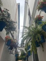 Cordoba - Blumengasse &ndash; &copy; Birgit Kirchner (Eberhardt TRAVEL)