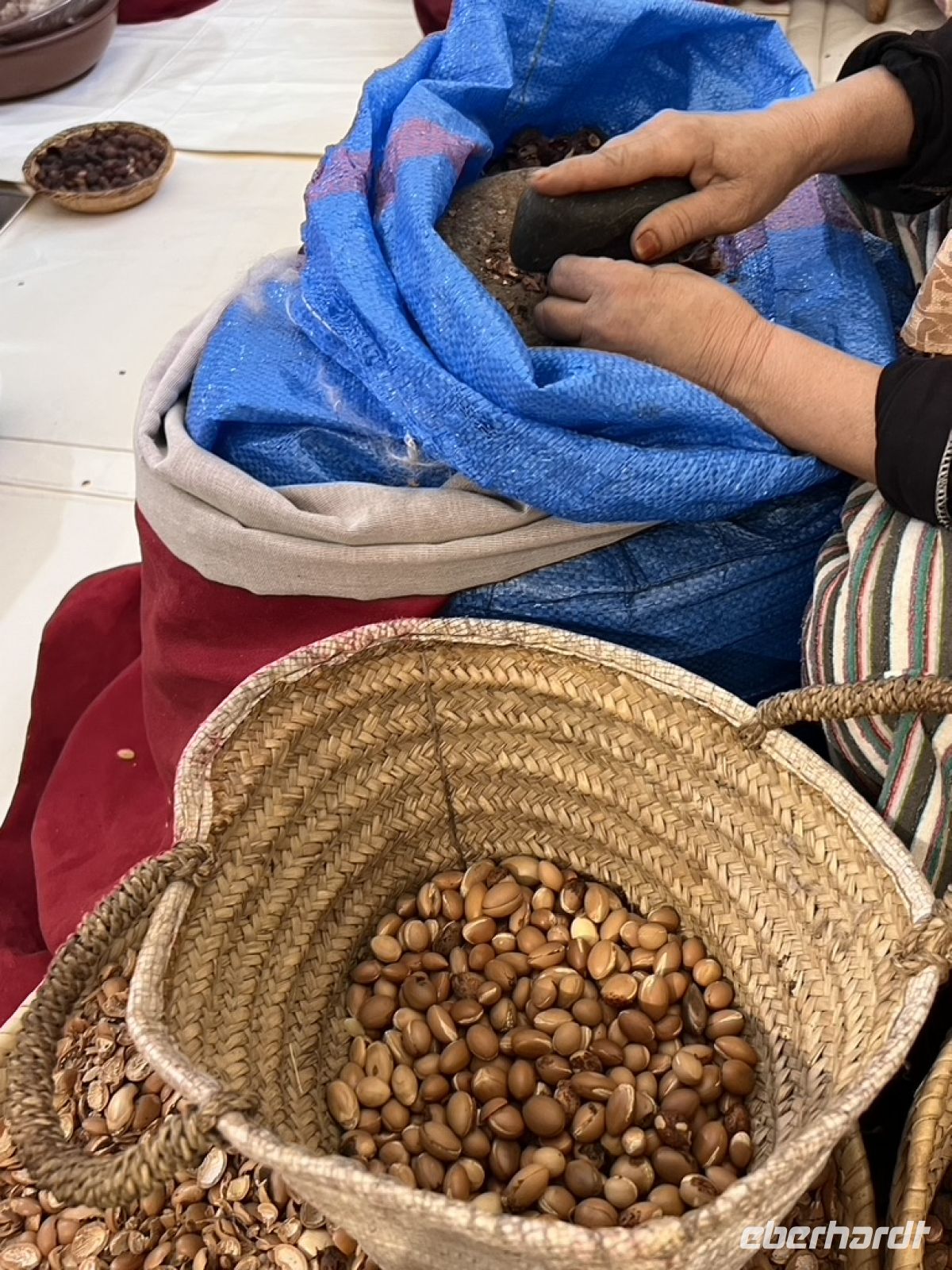 Argan 2.jpeg &ndash; &copy; Kora Buggel (Eberhardt TRAVEL)