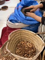 Argan 2.jpeg &ndash; &copy; Kora Buggel (Eberhardt TRAVEL)
