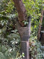 Anima 2.jpeg &ndash; &copy; Kora Buggel (Eberhardt TRAVEL)