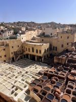 Fes Gerberei.jpeg