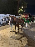 Marrakesh  &ndash; &copy; Francisco Javier Burgos Gutierrez (Eberhardt TRAVEL)