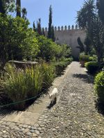 Rabat  &ndash; &copy; Francisco Javier Burgos Gutierrez (Eberhardt TRAVEL)