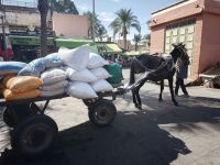 Marrakesch &ndash; &copy; Heike Jack (Eberhardt TRAVEL)