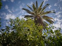 Marrakesch &ndash; &copy; Heike Jack (Eberhardt TRAVEL)