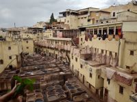 Fés Souk Gerberei &ndash; &copy; Heike Jack (Eberhardt TRAVEL)