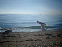 Malaga &ndash; &copy; Heike Jack (Eberhardt TRAVEL)