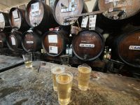 Malaga - Wein Bodega &ndash; &copy; Heike Jack (Eberhardt TRAVEL)