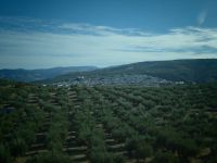 Andalusien Olivenhaine und weiße Dörfer &ndash; &copy; Heike Jack (Eberhardt TRAVEL)