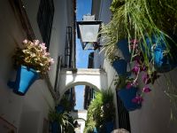 Cordoba Blumengasse &ndash; &copy; Heike Jack (Eberhardt TRAVEL)