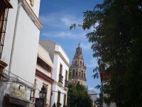 Cordoba &ndash; &copy; Heike Jack (Eberhardt TRAVEL)