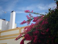 Cordoba &ndash; &copy; Heike Jack (Eberhardt TRAVEL)