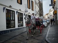 Cordoba &ndash; &copy; Heike Jack (Eberhardt TRAVEL)