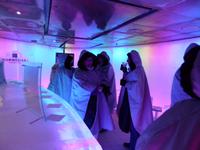 ICE BAR &ndash; &copy; Sabine Letzybyll (Eberhardt TRAVEL)