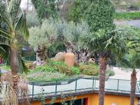 Madeira &ndash; &copy; Sabine Letzybyll (Eberhardt TRAVEL)