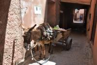 Warten auf Arbeit? &ndash; &copy; Gina Egenolf (Eberhardt TRAVEL)