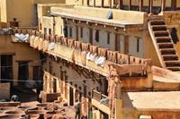 Leder zum trocknen &ndash; &copy; Gina Egenolf (Eberhardt TRAVEL)