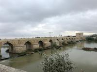 0323 Cordoba &ndash; &copy; Sabine C. Seifert (Eberhardt TRAVEL)