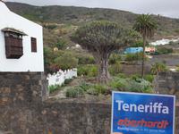 Icod de los Vinos (4) &ndash; &copy; Benjamin Rodriguez Manzanares (Eberhardt TRAVEL)