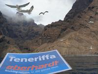 Los Gigantes (13) &ndash; &copy; Benjamin Rodriguez Manzanares (Eberhardt TRAVEL)