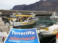 Los Gigantes (15) &ndash; &copy; Benjamin Rodriguez Manzanares (Eberhardt TRAVEL)