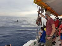 Los Gigantes (21) &ndash; &copy; Benjamin Rodriguez Manzanares (Eberhardt TRAVEL)