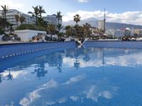 Puerto de la Cruz (6) &ndash; &copy; Benjamin Rodriguez Manzanares (Eberhardt TRAVEL)