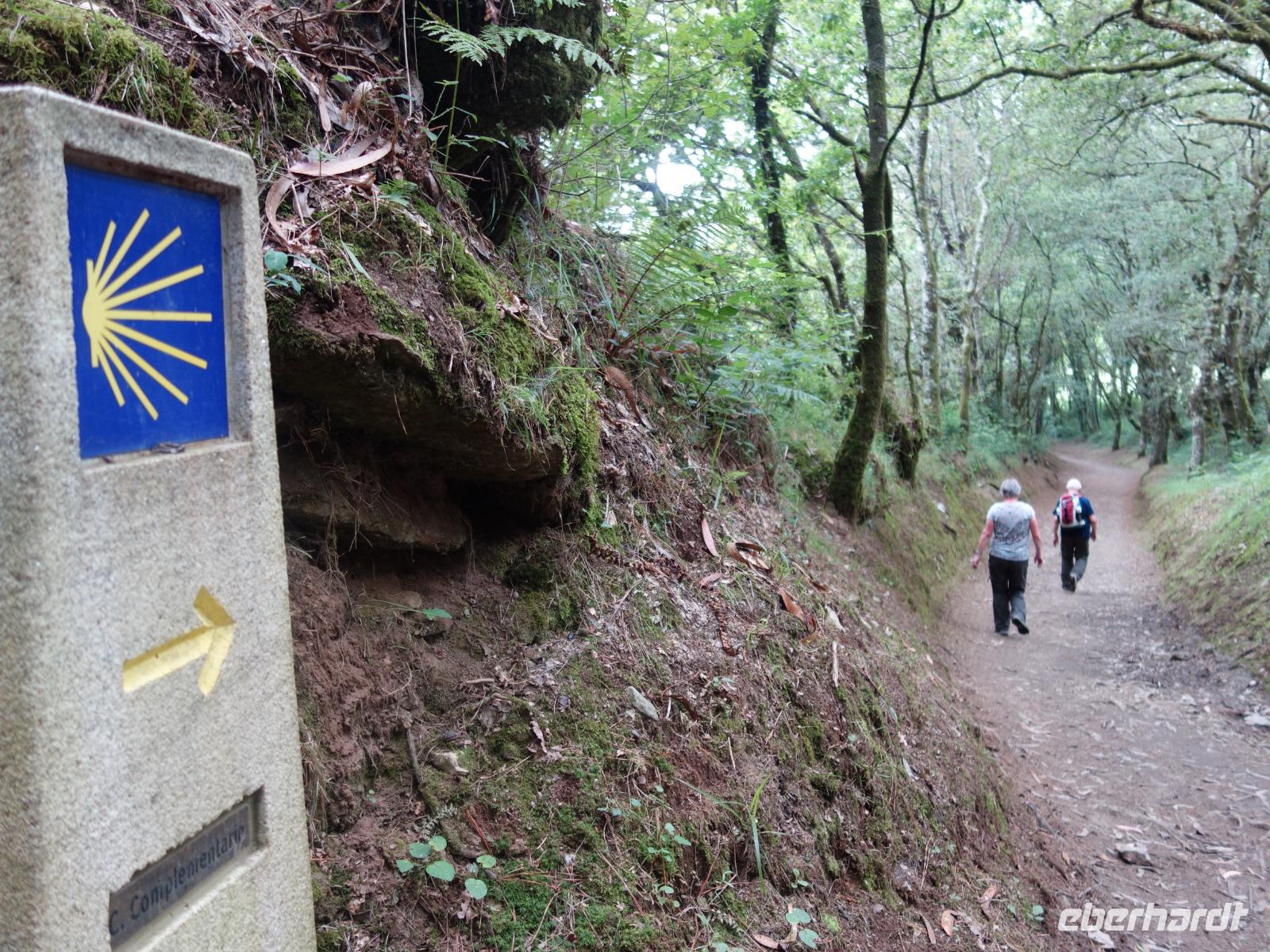 Tag  Wanderung auf dem Jakobsweg von Arzua nach Arca (55) &ndash; &copy; Benjamin Rodriguez Manzanares (Eberhardt TRAVEL)