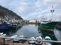 Getaria &ndash; &copy; Francisco Javier Burgos Gutierrez (Eberhardt TRAVEL)