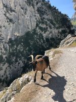 Ruta del Cares  &ndash; &copy; Francisco Javier Burgos Gutierrez (Eberhardt TRAVEL)