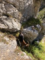 Ruta del Cares  &ndash; &copy; Francisco Javier Burgos Gutierrez (Eberhardt TRAVEL)