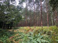 Jakobsweg &ndash; &copy; Francisco Javier Burgos Gutierrez (Eberhardt TRAVEL)