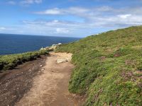Insel Ons &ndash; &copy; Francisco Javier Burgos Gutierrez (Eberhardt TRAVEL)