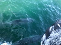 Insel Ons &ndash; &copy; Francisco Javier Burgos Gutierrez (Eberhardt TRAVEL)