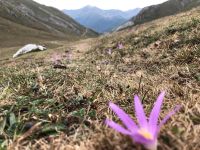 Picos de Europa  &ndash; &copy; Francisco Javier Burgos Gutierrez (Eberhardt TRAVEL)