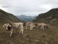 Picos de Europa  &ndash; &copy; Francisco Javier Burgos Gutierrez (Eberhardt TRAVEL)