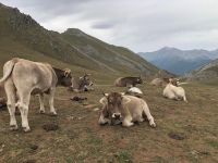 Picos de Europa &ndash; &copy; Francisco Javier Burgos Gutierrez (Eberhardt TRAVEL)