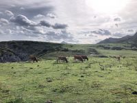 Covadonga-See  &ndash; &copy; Francisco Javier Burgos Gutierrez (Eberhardt TRAVEL)