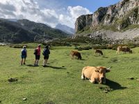 Covadonga-See  &ndash; &copy; Francisco Javier Burgos Gutierrez (Eberhardt TRAVEL)