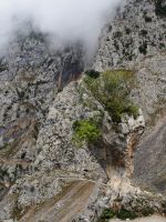 Ruta del Cares &ndash; &copy; Sinah Witzig (Eberhardt TRAVEL)
