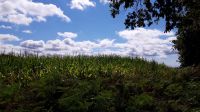 Jakobsweg  &ndash; &copy; Sinah Witzig (Eberhardt TRAVEL)