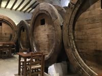 0048 Sineu &ndash; &copy; Jens Petzoldt (Eberhardt TRAVEL)