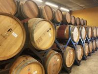 Weingut Torres 1 &ndash; &copy; Ksenia Parfenova (Eberhardt TRAVEL)