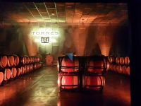 Weingut Torres &ndash; &copy; Ksenia Parfenova (Eberhardt TRAVEL)
