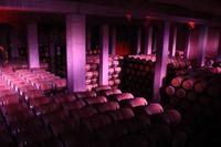 Weingut Torres &ndash; &copy; Denise Hartmann (Eberhardt TRAVEL)