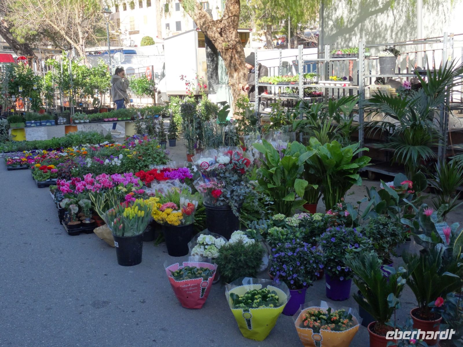 Sineu - Markttag &ndash; &copy; Hans-Joachim Trutz (Eberhardt TRAVEL)